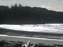 ./images/calvert/beach/20160305/beach20160305_132002.jpg