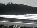 ./images/calvert/beach/20160305/beach20160305_132501.jpg