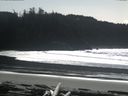 ./images/calvert/beach/20160305/beach20160305_133502.jpg