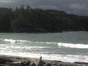 ./images/calvert/beach/20160306/beach20160306_102003.jpg