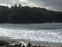 ./images/calvert/beach/20160306/beach20160306_110503.jpg