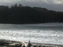 ./images/calvert/beach/20160306/beach20160306_112002.jpg