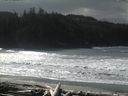 ./images/calvert/beach/20160306/beach20160306_120502.jpg