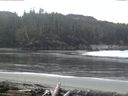 ./images/calvert/beach/20160306/beach20160306_171002.jpg