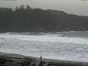 ./images/calvert/beach/20160307/beach20160307_100002.jpg