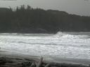 ./images/calvert/beach/20160307/beach20160307_101002.jpg
