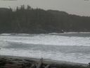 ./images/calvert/beach/20160307/beach20160307_102502.jpg