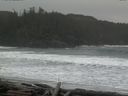 ./images/calvert/beach/20160307/beach20160307_120502.jpg