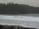./images/calvert/beach/20160308/beach20160308_115003.jpg