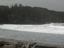 ./images/calvert/beach/20160309/beach20160309_100502.jpg