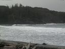 ./images/calvert/beach/20160309/beach20160309_105502.jpg