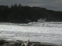./images/calvert/beach/20160309/beach20160309_114502.jpg