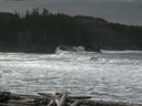 ./images/calvert/beach/20160309/beach20160309_115503.jpg