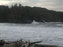 ./images/calvert/beach/20160309/beach20160309_121002.jpg