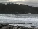 ./images/calvert/beach/20160309/beach20160309_123501.jpg