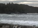 ./images/calvert/beach/20160309/beach20160309_124001.jpg