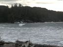./images/calvert/beach/20160309/beach20160309_130501.jpg