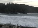 ./images/calvert/beach/20160309/beach20160309_132503.jpg
