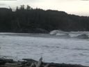 ./images/calvert/beach/20160309/beach20160309_133503.jpg