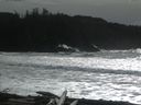 ./images/calvert/beach/20160309/beach20160309_141503.jpg