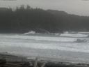 ./images/calvert/beach/20160310/beach20160310_115503.jpg