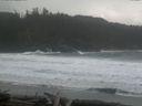 ./images/calvert/beach/20160310/beach20160310_122001.jpg