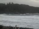 ./images/calvert/beach/20160310/beach20160310_134502.jpg