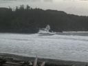 ./images/calvert/beach/20160310/beach20160310_152503.jpg