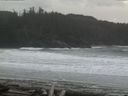 ./images/calvert/beach/20160310/beach20160310_153503.jpg