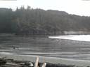 ./images/calvert/beach/20160310/beach20160310_184503.jpg