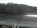 ./images/calvert/beach/20160310/beach20160310_185003.jpg