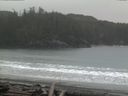 ./images/calvert/beach/20160311/beach20160311_160501.jpg