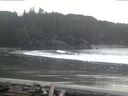 ./images/calvert/beach/20160311/beach20160311_180502.jpg