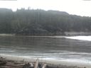 ./images/calvert/beach/20160312/beach20160312_090502.jpg