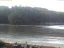 ./images/calvert/beach/20160312/beach20160312_093502.jpg