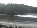 ./images/calvert/beach/20160312/beach20160312_111003.jpg