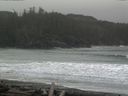 ./images/calvert/beach/20160312/beach20160312_142501.jpg