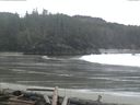 ./images/calvert/beach/20160313/beach20160313_095001.jpg