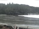 ./images/calvert/beach/20160313/beach20160313_100003.jpg