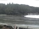 ./images/calvert/beach/20160313/beach20160313_100503.jpg