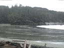 ./images/calvert/beach/20160313/beach20160313_101503.jpg