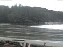 ./images/calvert/beach/20160313/beach20160313_102503.jpg