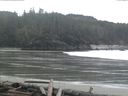 ./images/calvert/beach/20160313/beach20160313_103003.jpg
