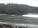 ./images/calvert/beach/20160313/beach20160313_110502.jpg