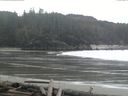 ./images/calvert/beach/20160313/beach20160313_114003.jpg