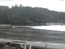 ./images/calvert/beach/20160313/beach20160313_122503.jpg