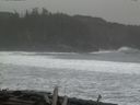 ./images/calvert/beach/20160313/beach20160313_172002.jpg