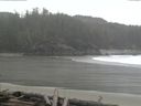 ./images/calvert/beach/20160314/beach20160314_125502.jpg