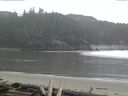 ./images/calvert/beach/20160320/beach20160320_184002.jpg