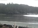 ./images/calvert/beach/20160320/beach20160320_191501.jpg